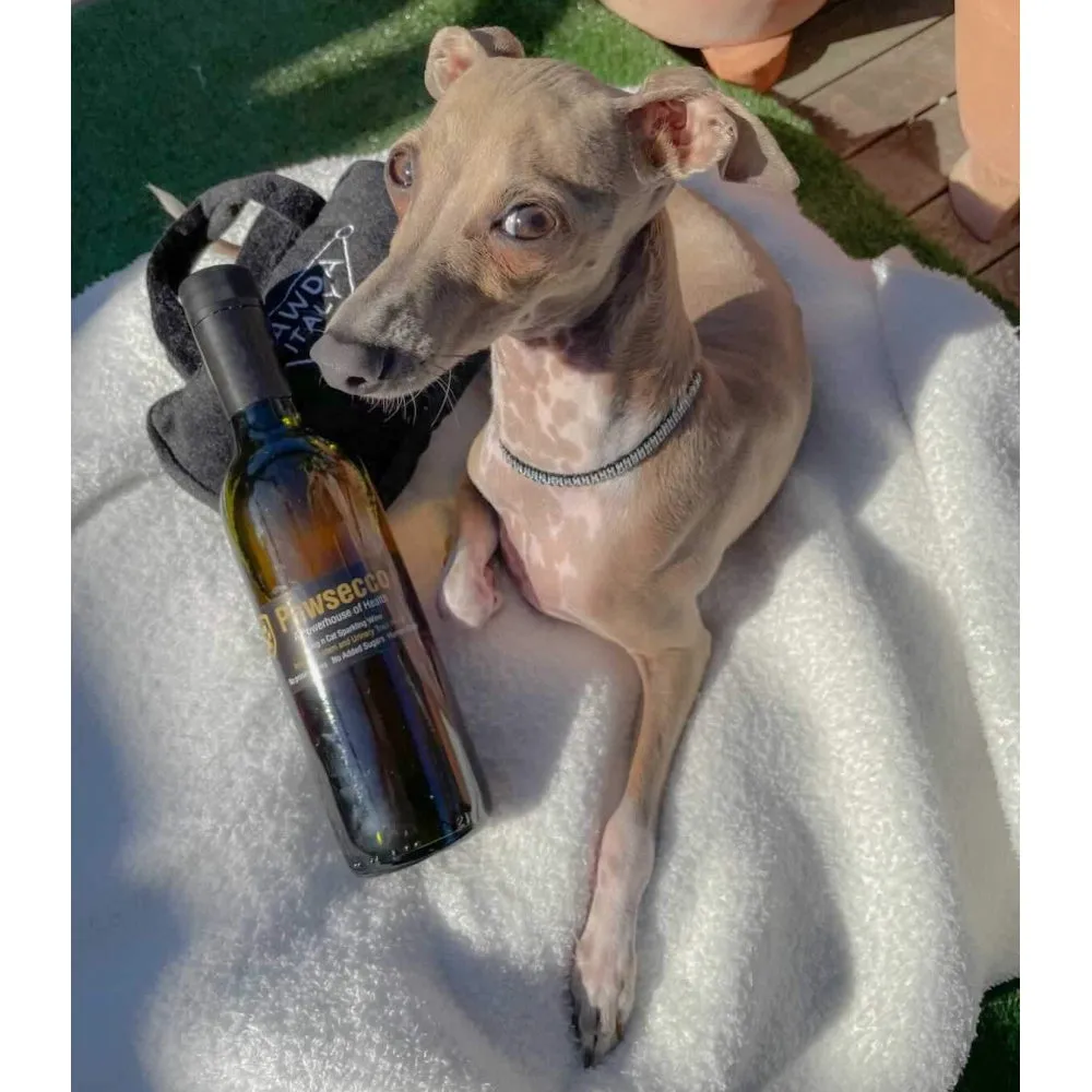 L'Barkery Pawsecco Sparkling Wine Bottle