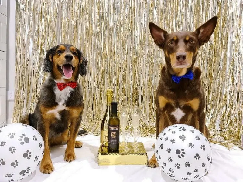 L'Barkery Pawsecco Sparkling Wine Bottle