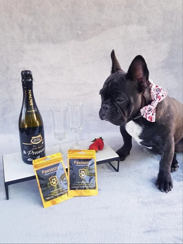 L'Barkery Pawsecco Sparkling Wine Bottle