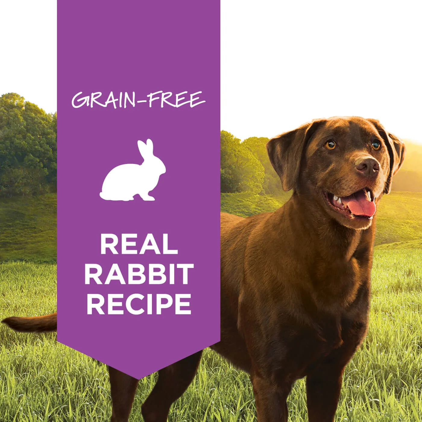 Nature's Variety Grain-Free Instinct Canned Dog Food