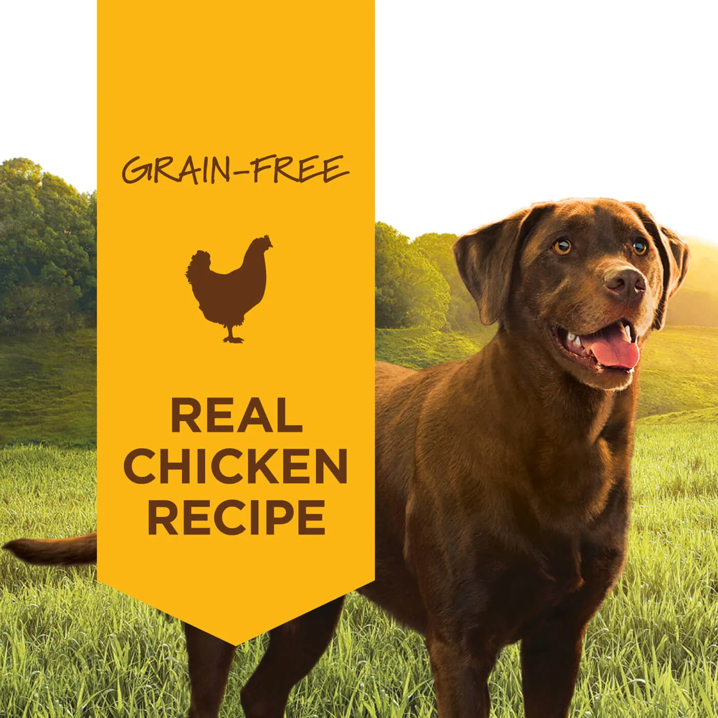 Nature's Variety Grain-Free Instinct Canned Dog Food